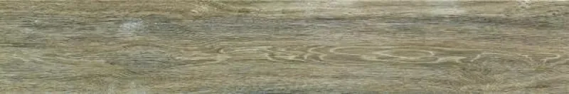 Wood161V — 1