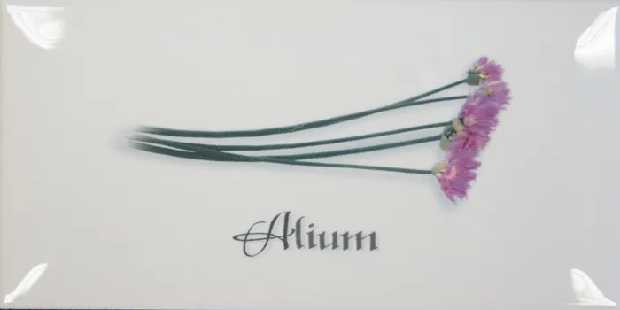 Decor Blanco Alium — 1