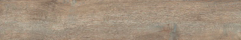 Brown DA04/19 — 14