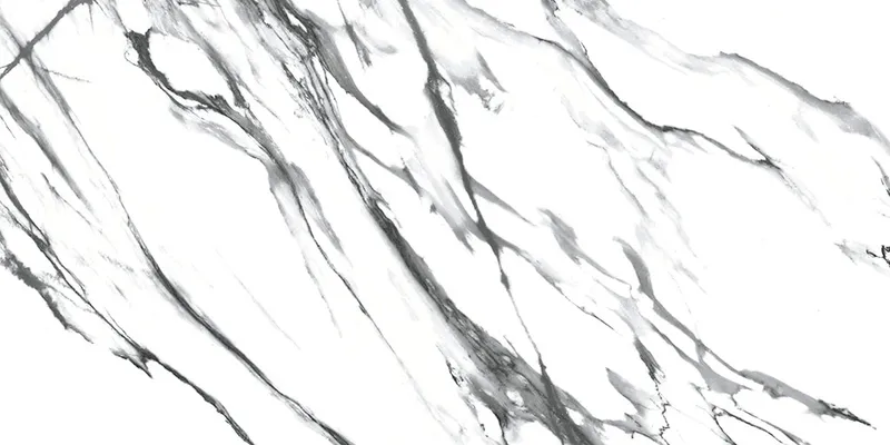 Oikos Black — 1