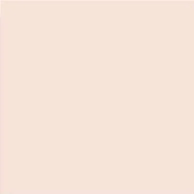 Salmon Mate 20x20 — 1