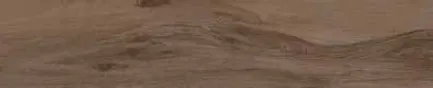 Cinnamon ret. 100 — 1