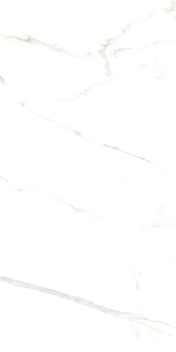 P15006 White — 3