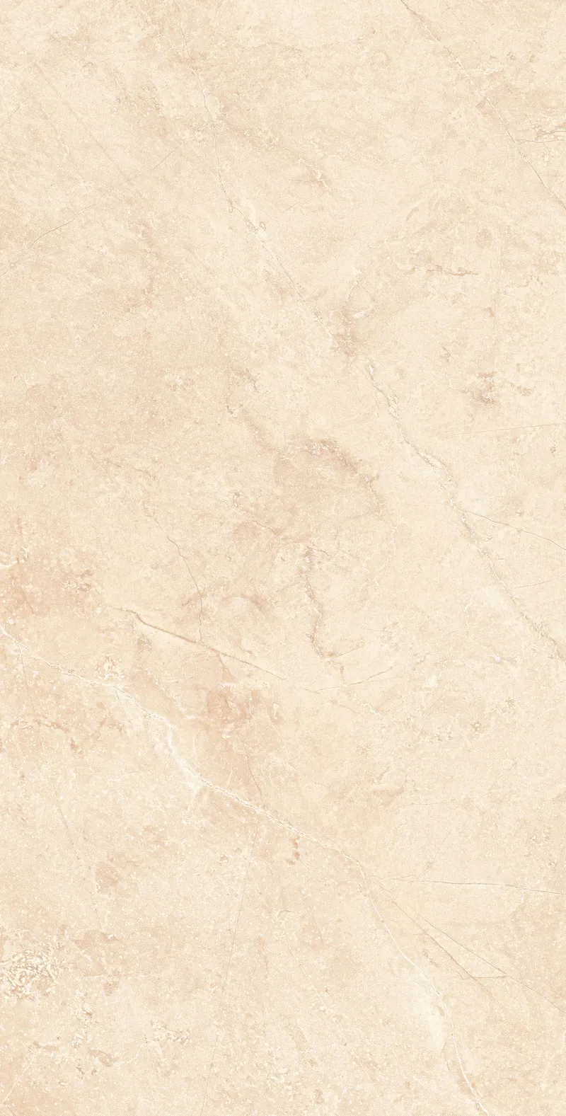 Light Beige MA02/NS — 9