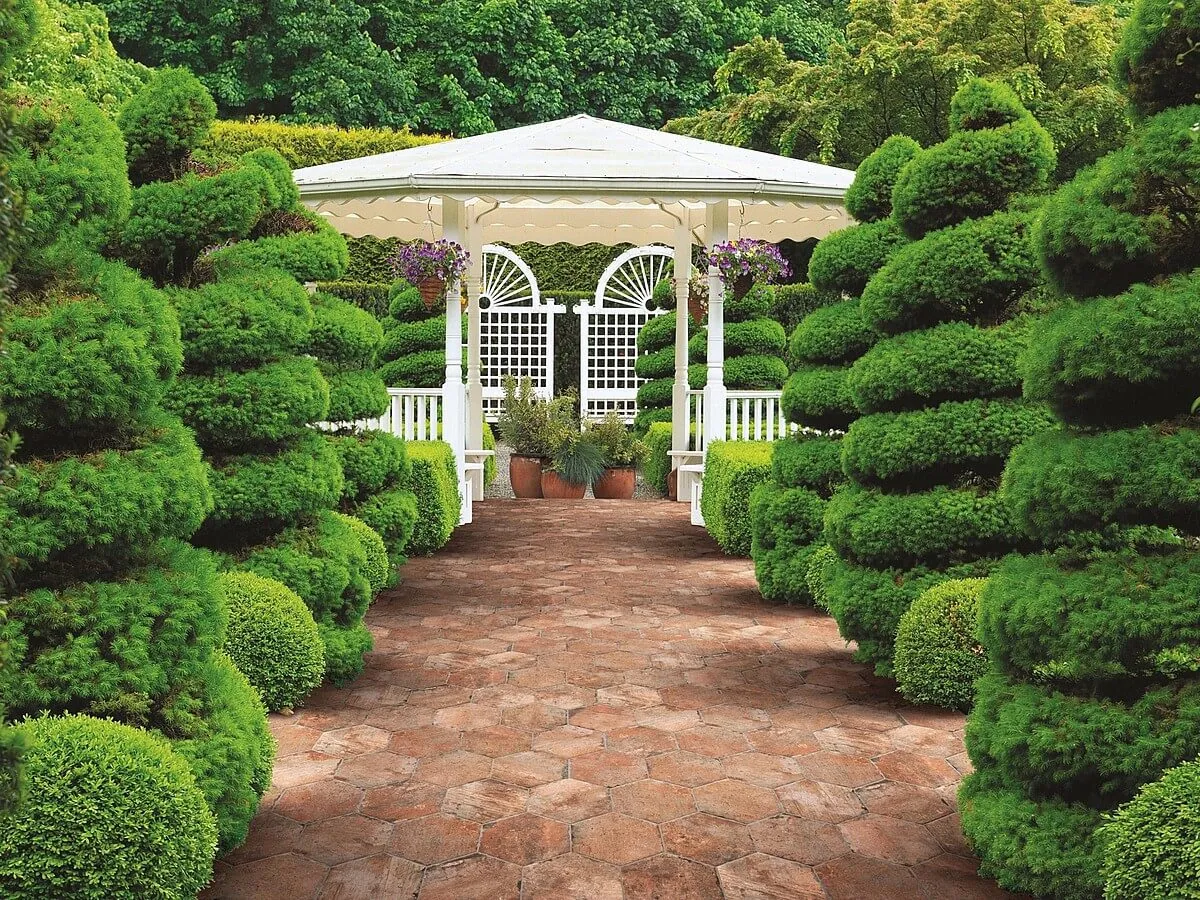 Chicago Serenissima — 3