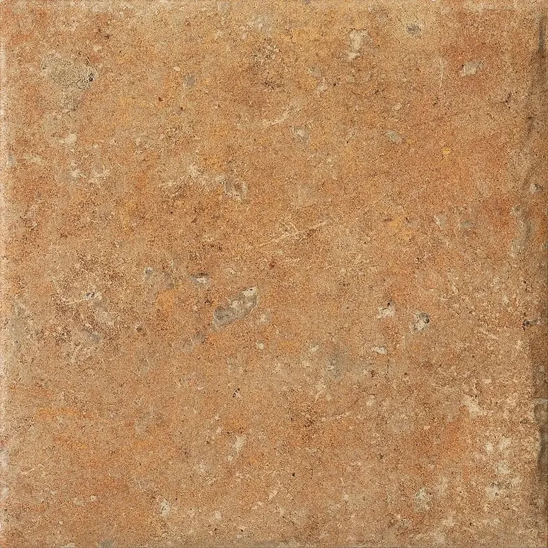 Cotto Dorato 20x20 — 1