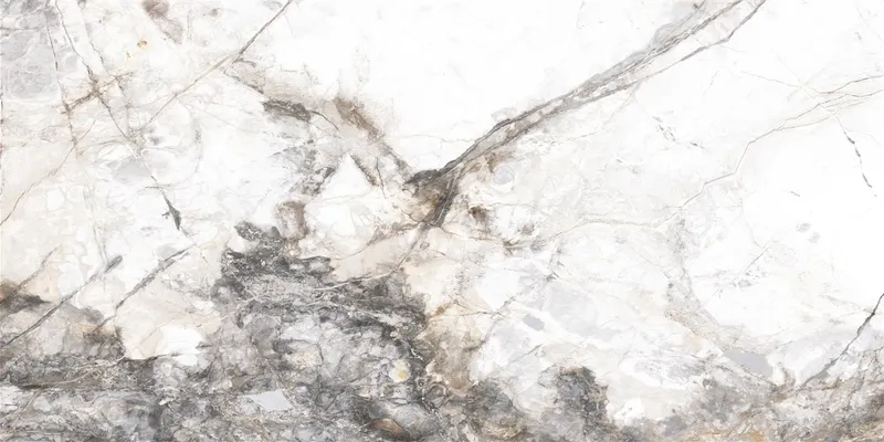 P15202 Grey Pol — 1