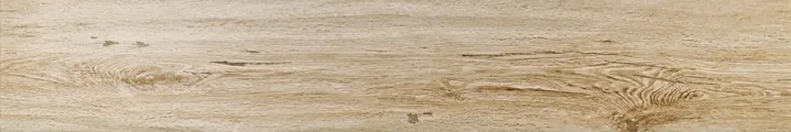 Root Vaniglia — 1