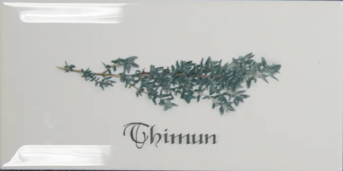 Decor Blanco Thimun — 1