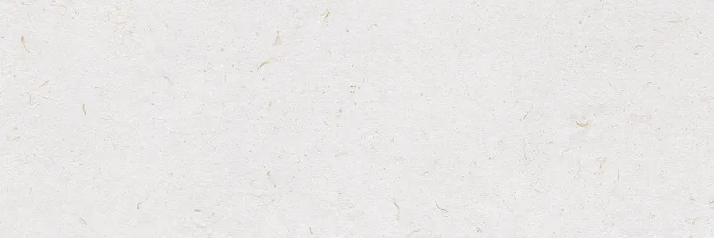 Lino — 8