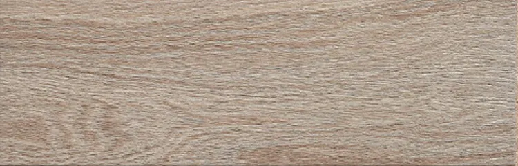 Acacia Haya — 1