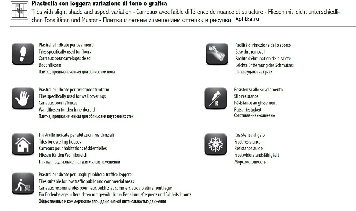 Jungle Sadon — 20