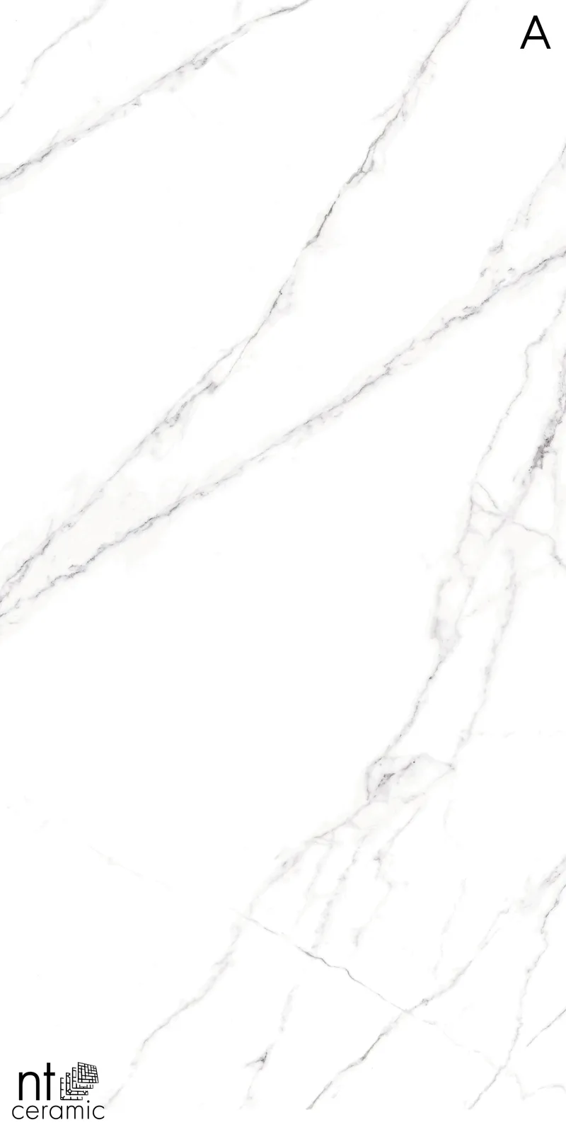 NTT3506L Calacatta — 2
