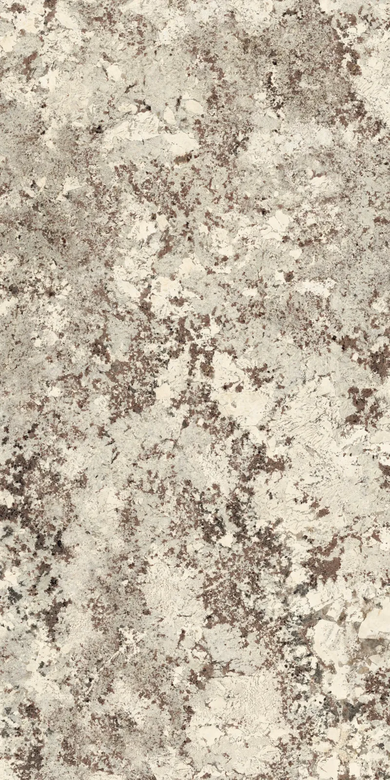 PLP612685 Alaska White Lapp — 4