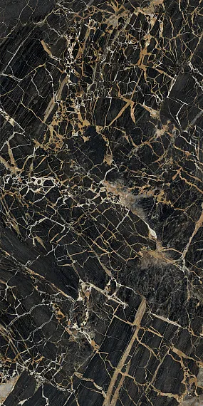 Black Golden — 5