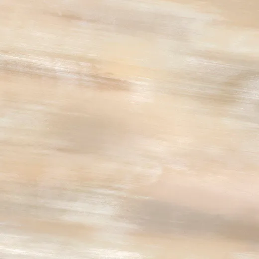 556818 Tanduk Conchiglia Lapp/Rett — 1