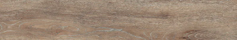 Brown DA04/19 — 19