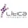 Litica