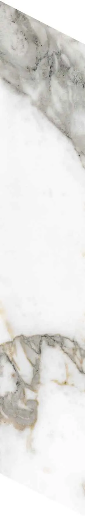 PF60012691 Chevron Bianco Vagli — 14
